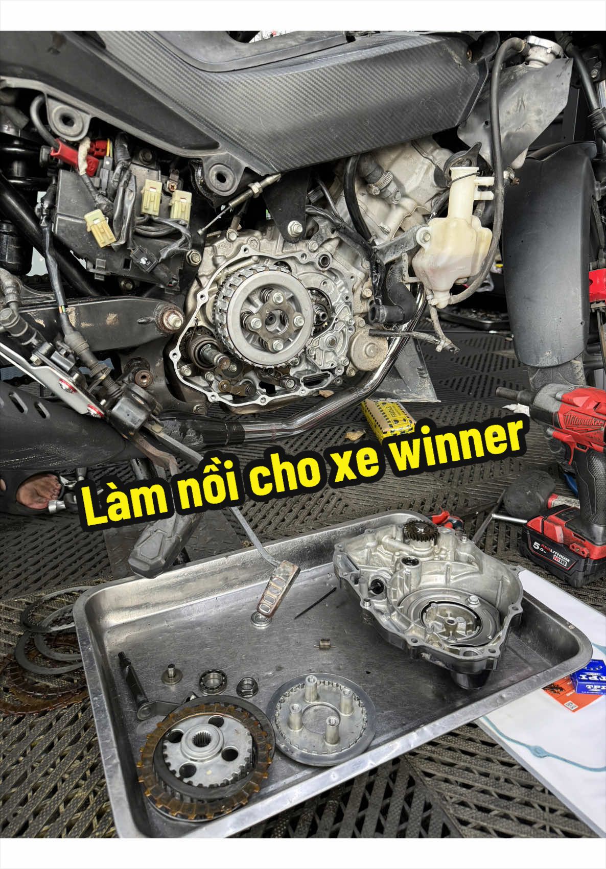 @Đạt Là 🇻🇳