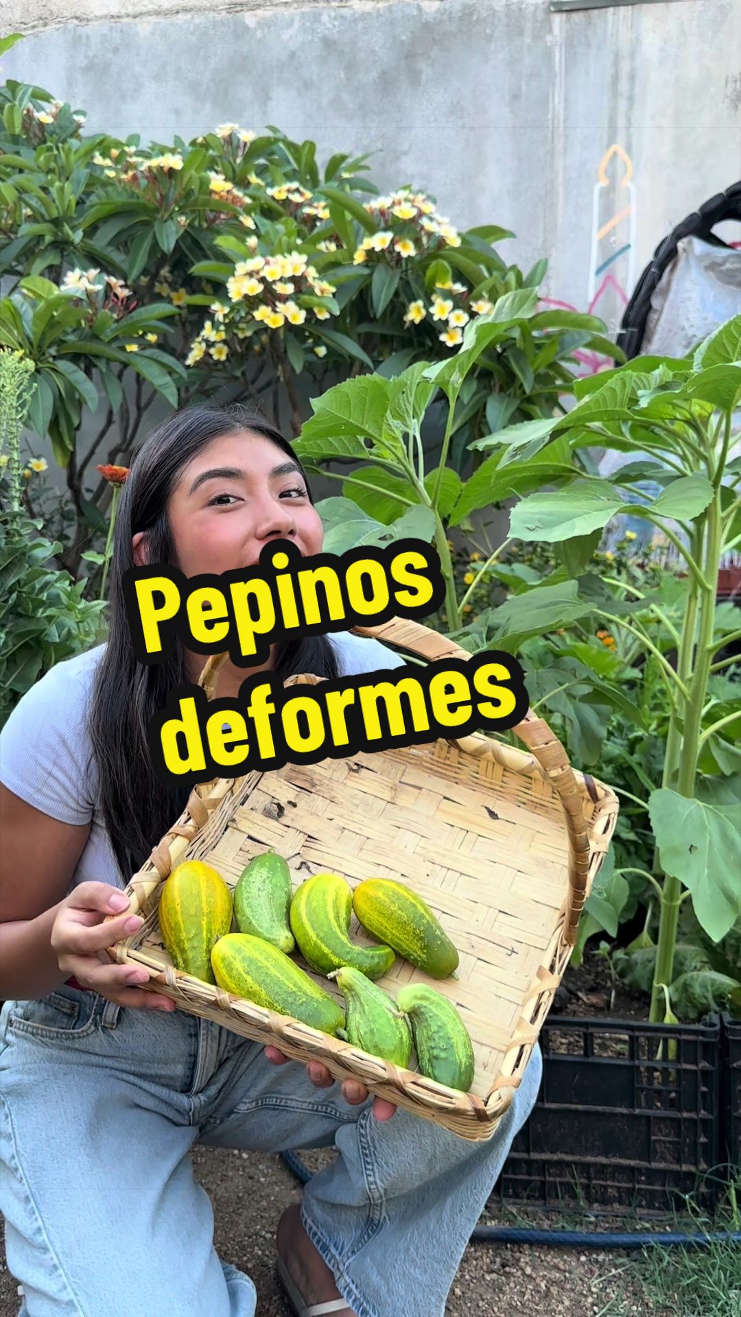 @cultivaconkarla