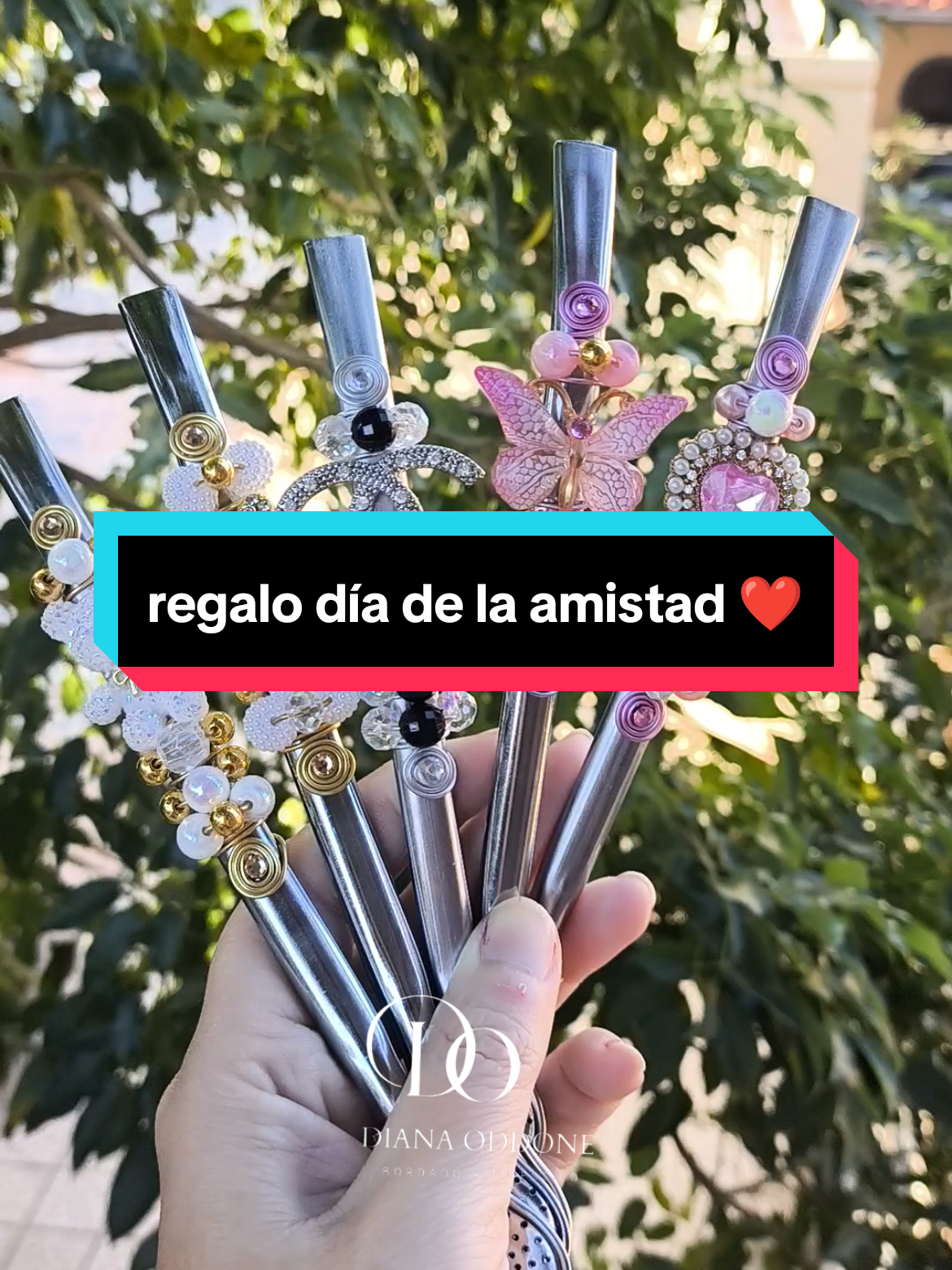 @Diana Oddone