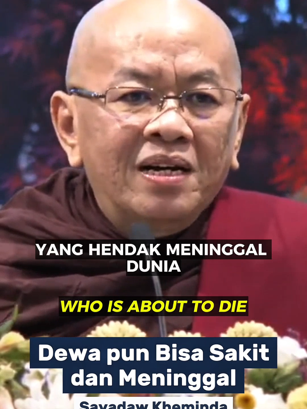 @Dhammavihari Buddhist Studies