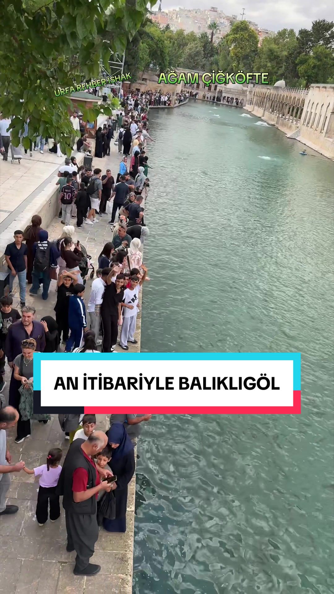 @🟨URFA🟩REHBER🟨İSHAK🟩