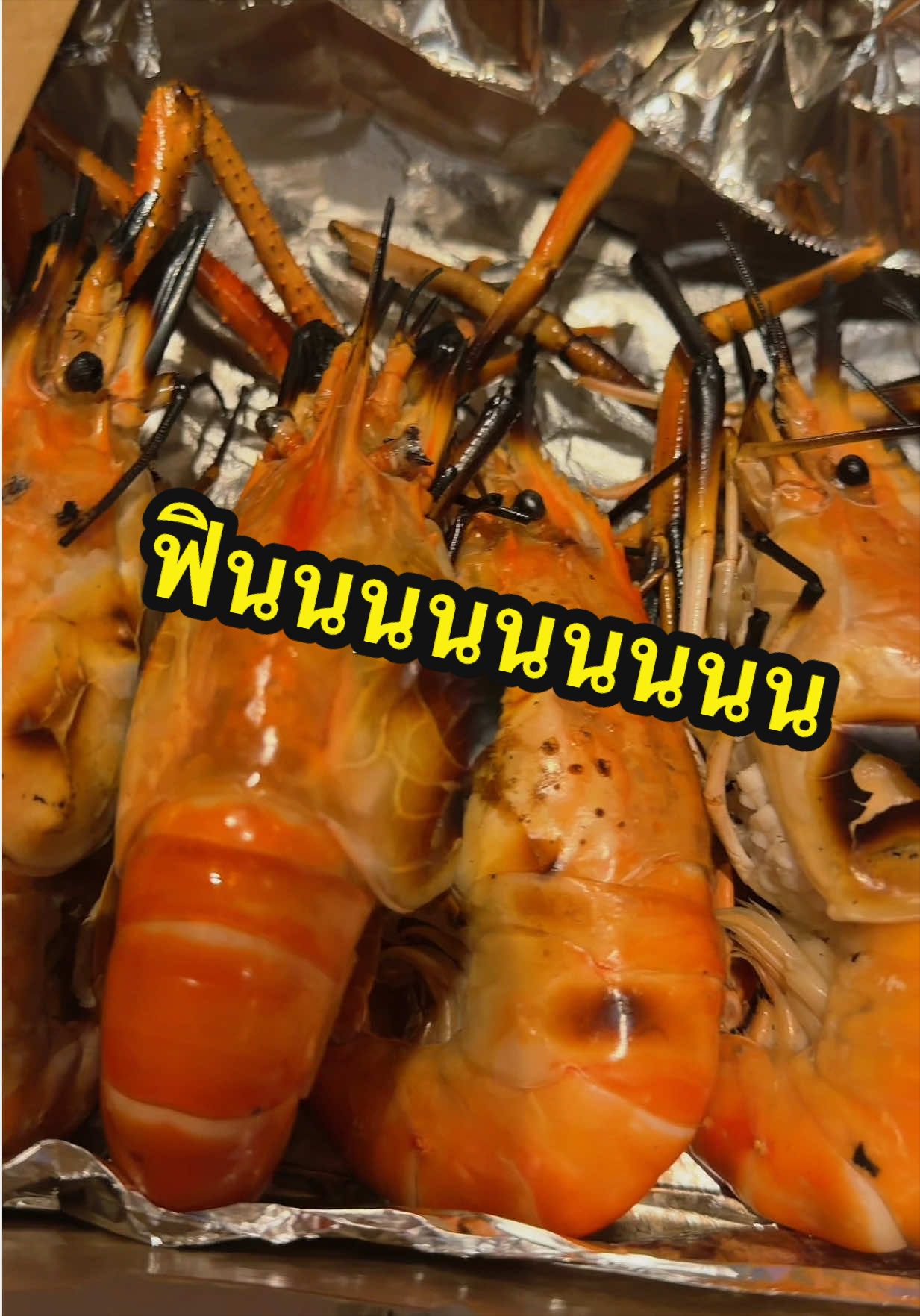 @GOKO.PRAII 𐙚