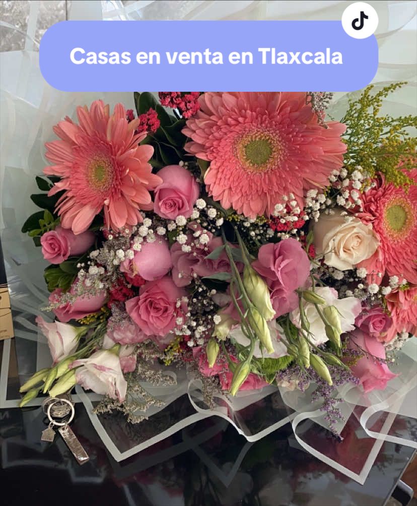 @Araceli Fabián
