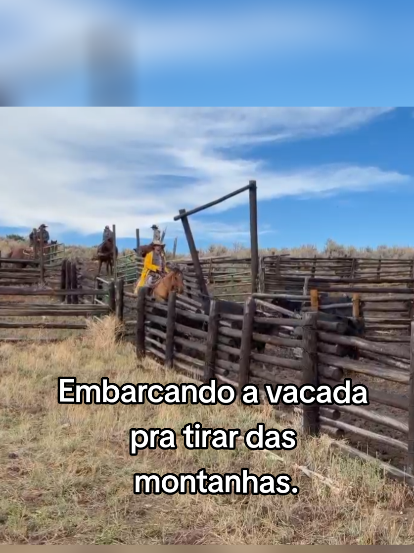 @Olavo Franco Bottino