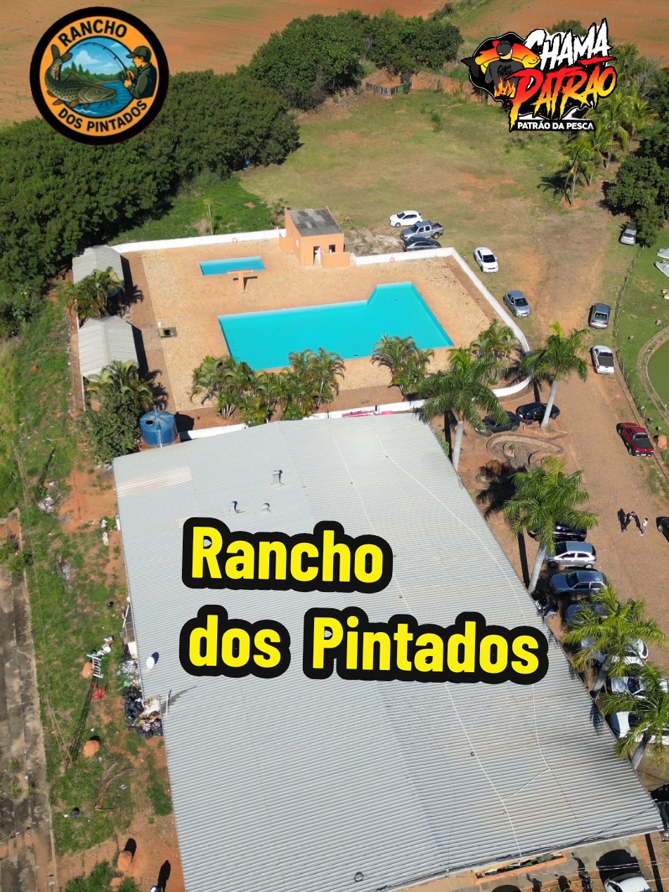 @Patr&atilde;o da Pesca