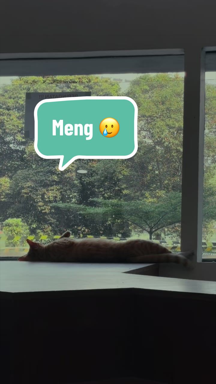 @Pet Journal Space