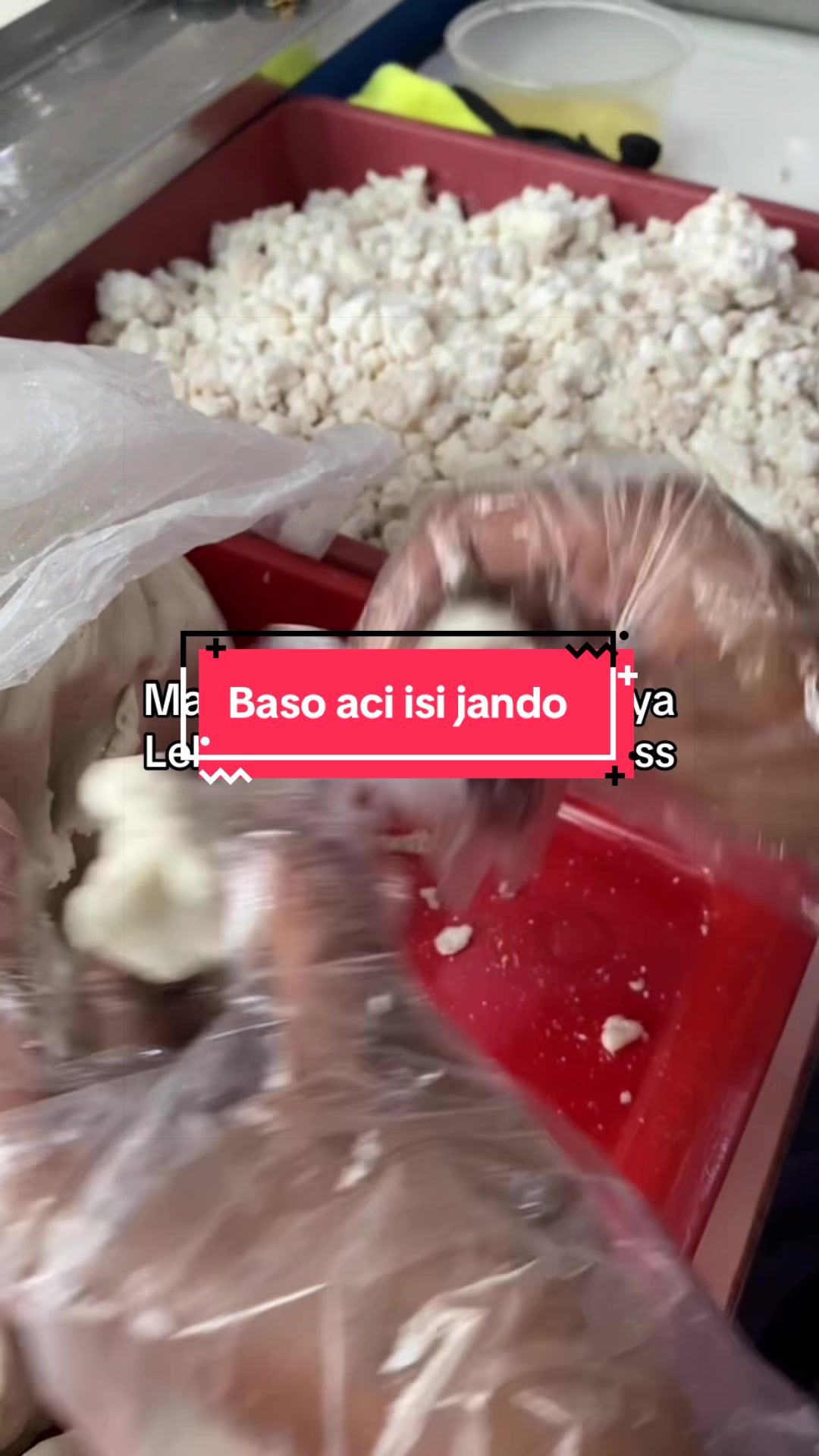 @BociSehotOfficial