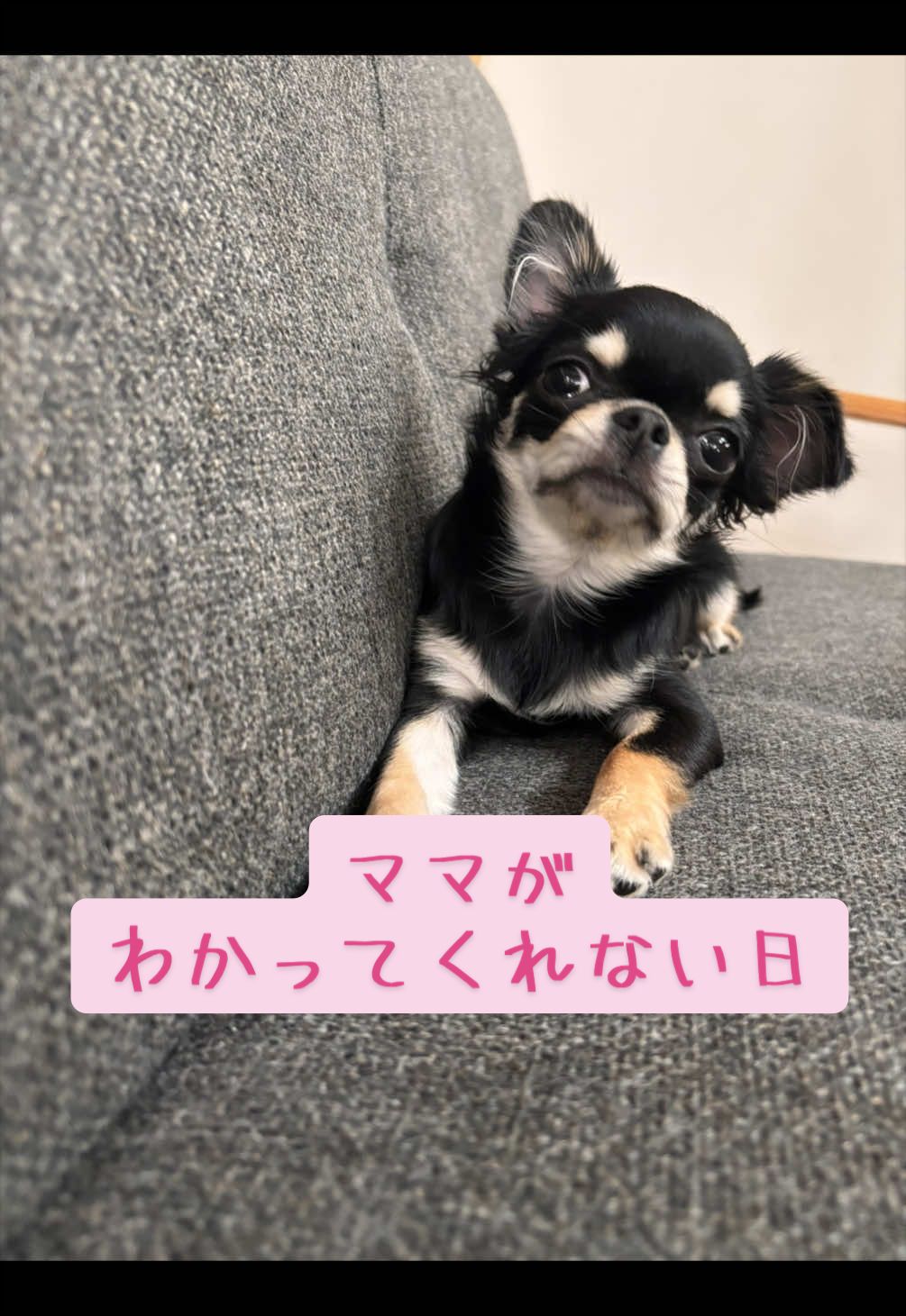 @ちぃちゃん🪽🎀