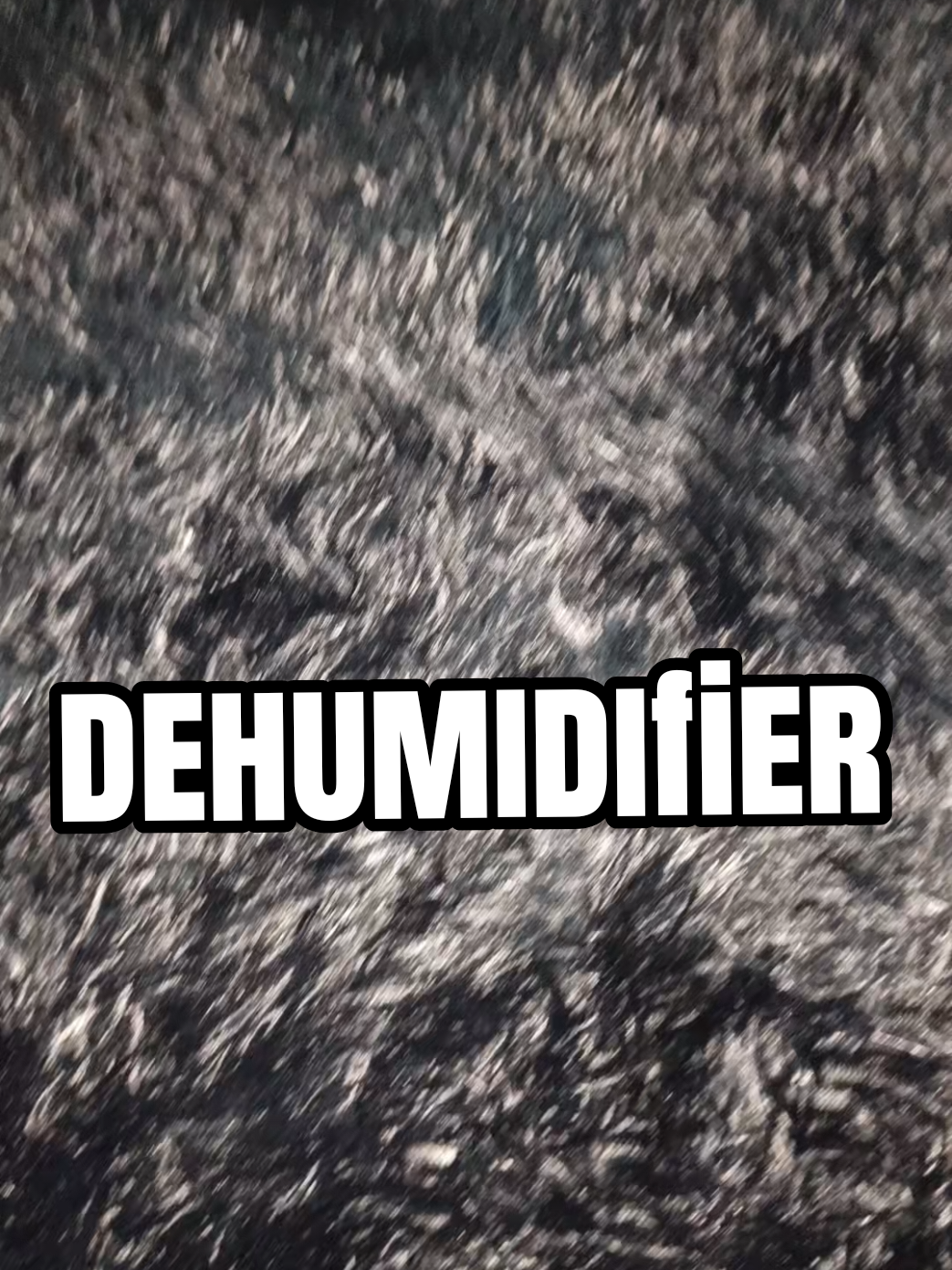 @Grey Greyᥫ᭡.ִֶָ𓂃