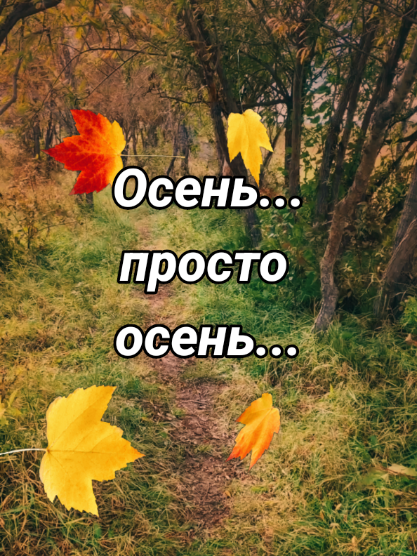 @Деревенская бабушка