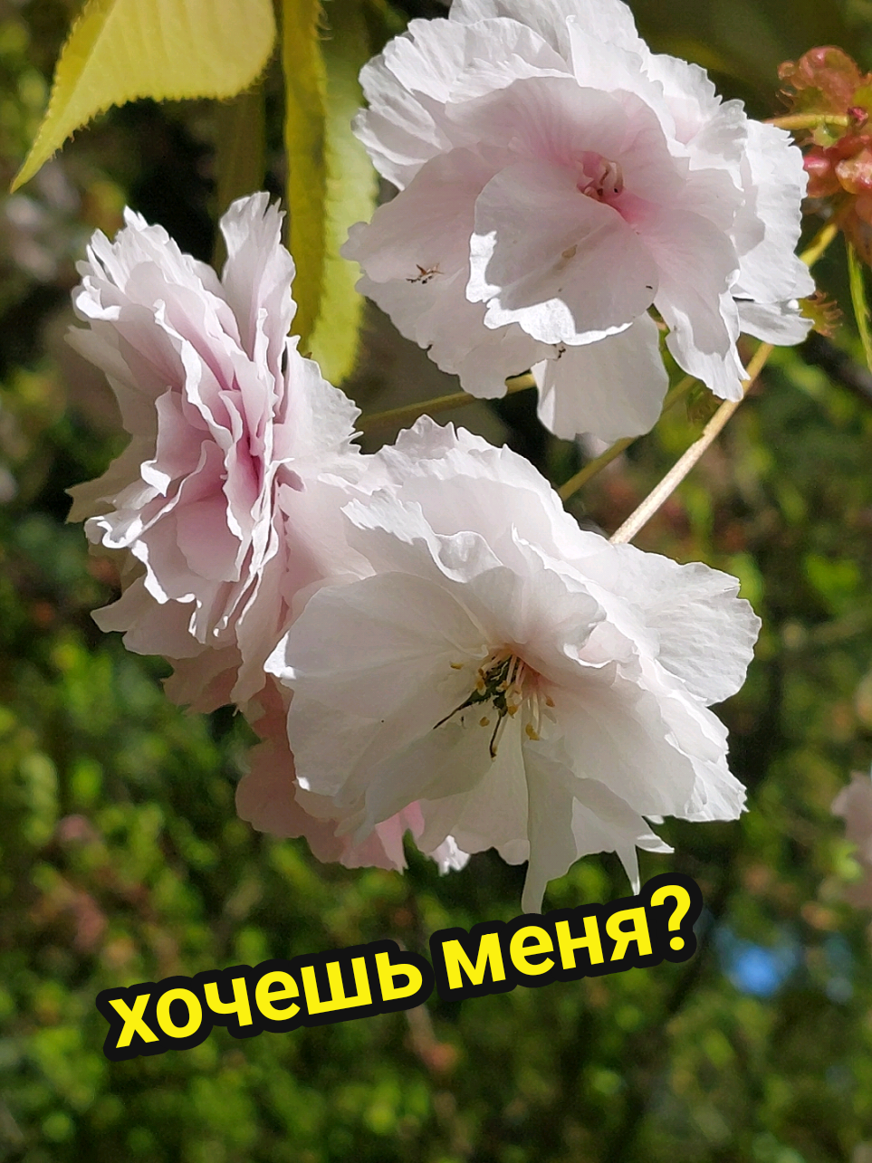 @Рыся✔️🇧🇾