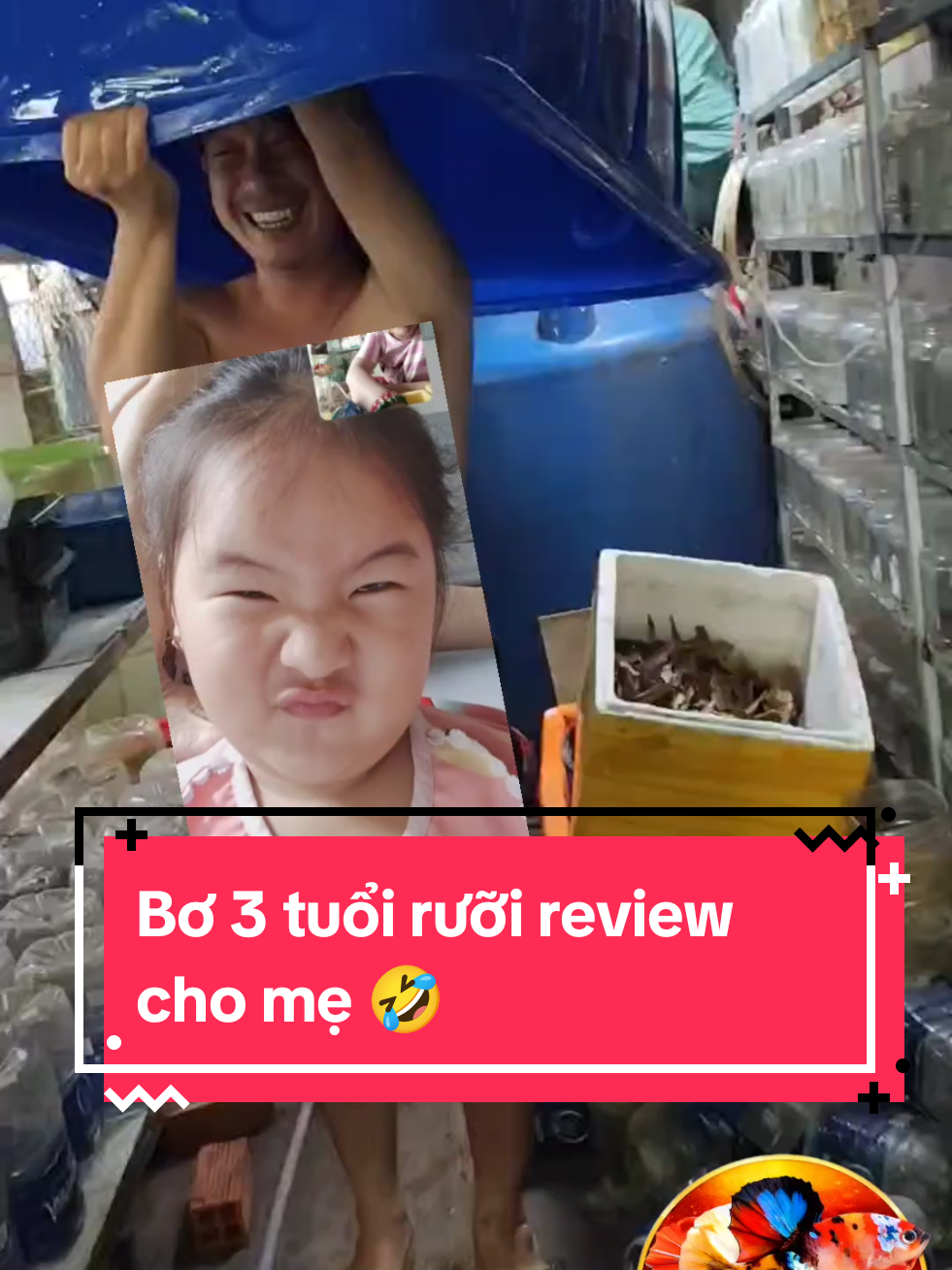 @Nhi Nguyễn Betta