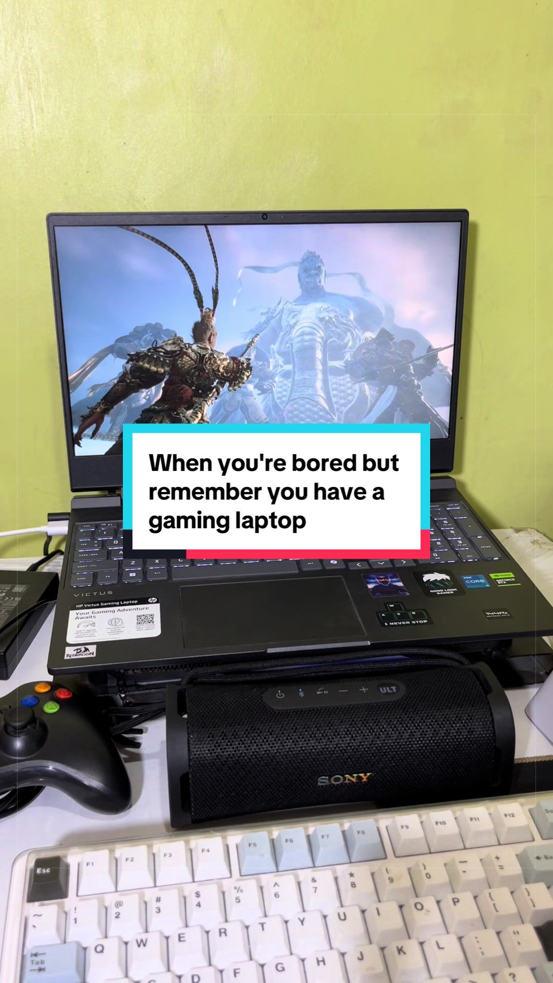 @Codex