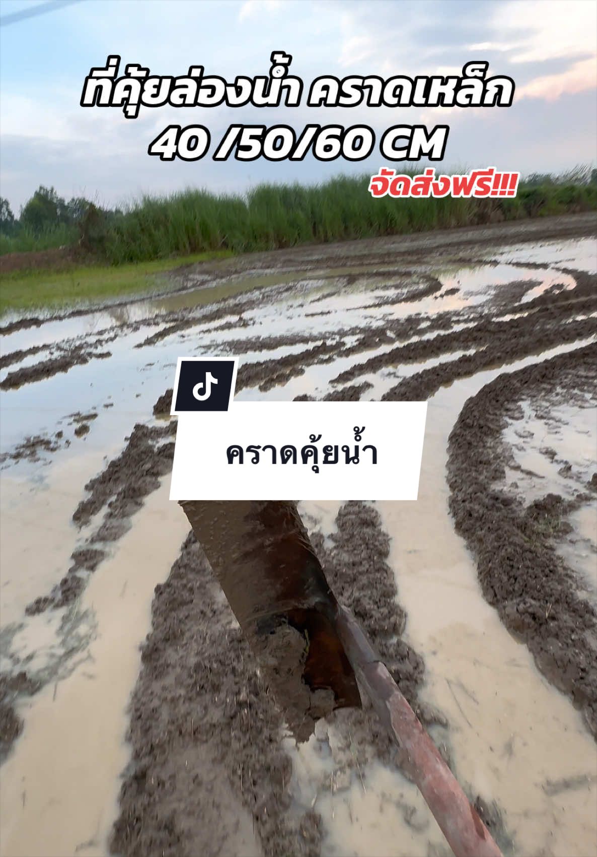 @อาเฮียหลี อาหลีเฮีย