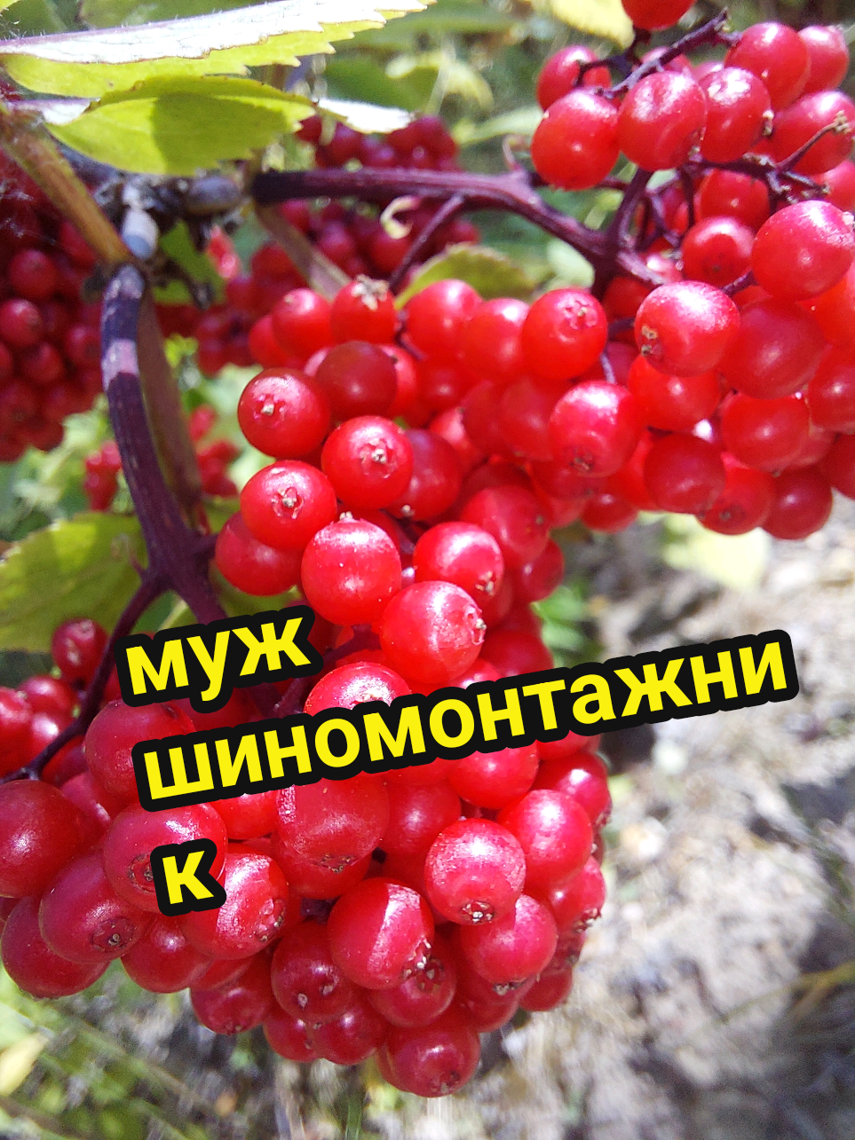 @Рыся✔️🇧🇾