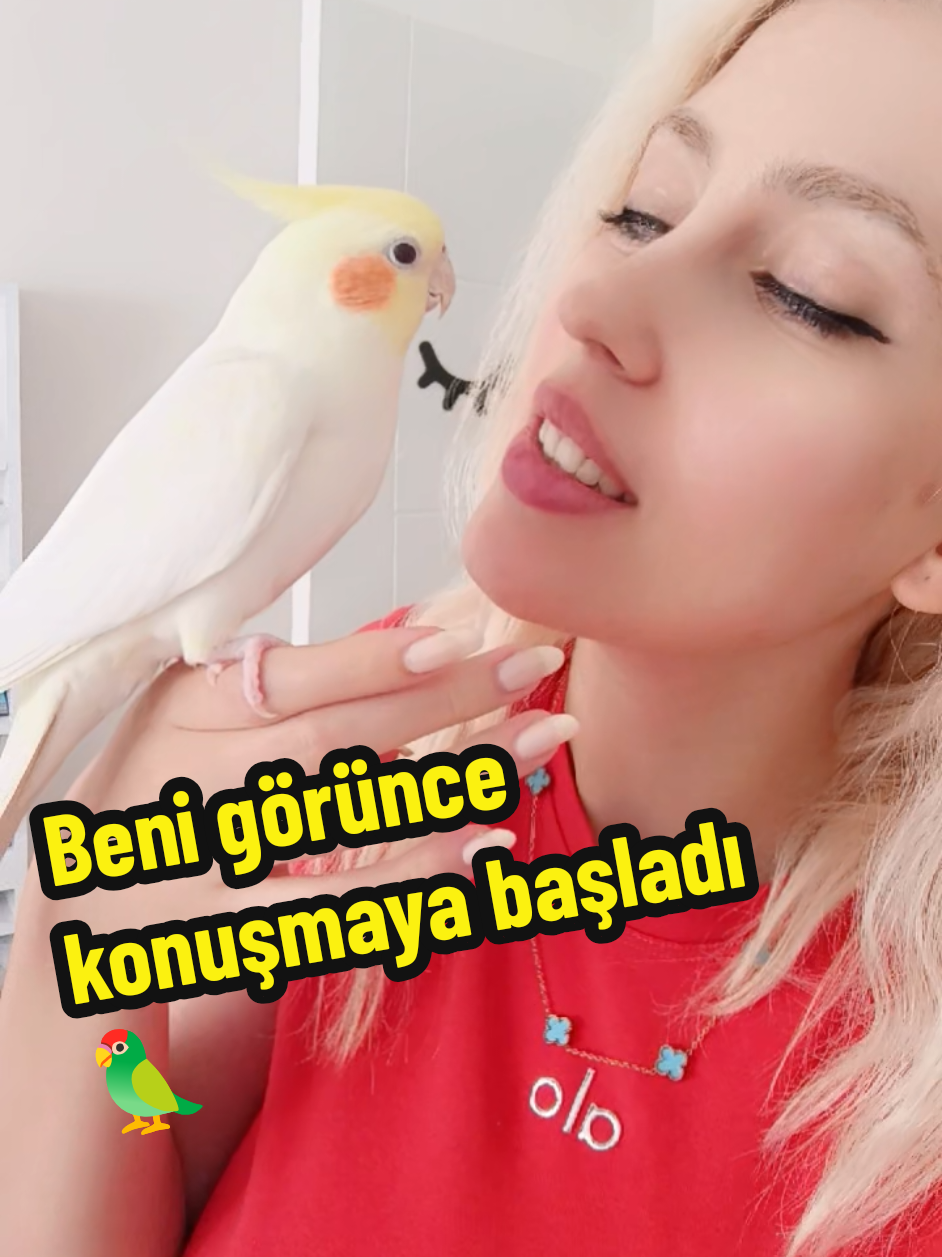 @Hümeyra