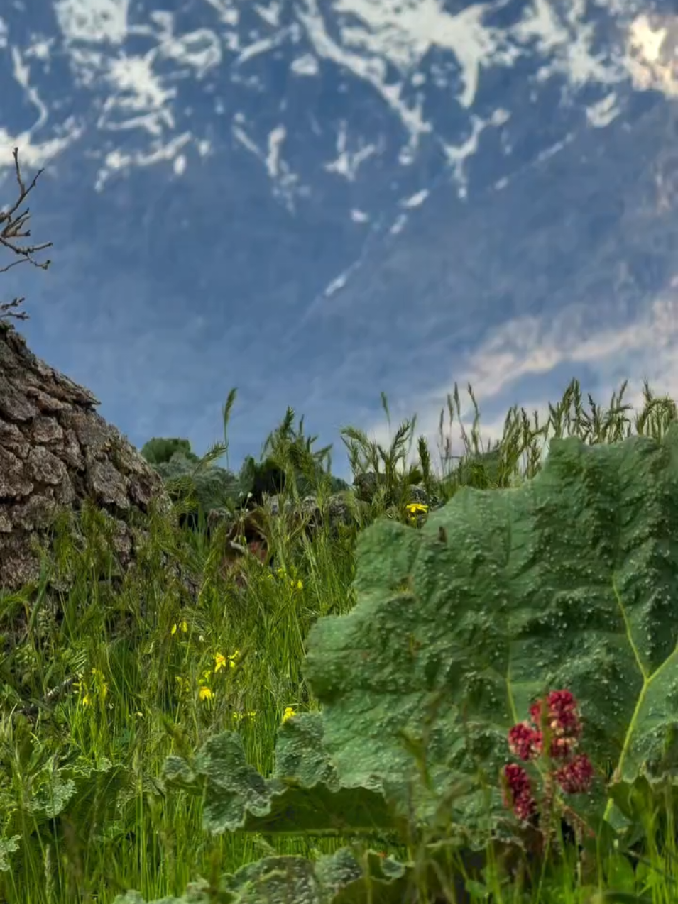 @özgür🌿