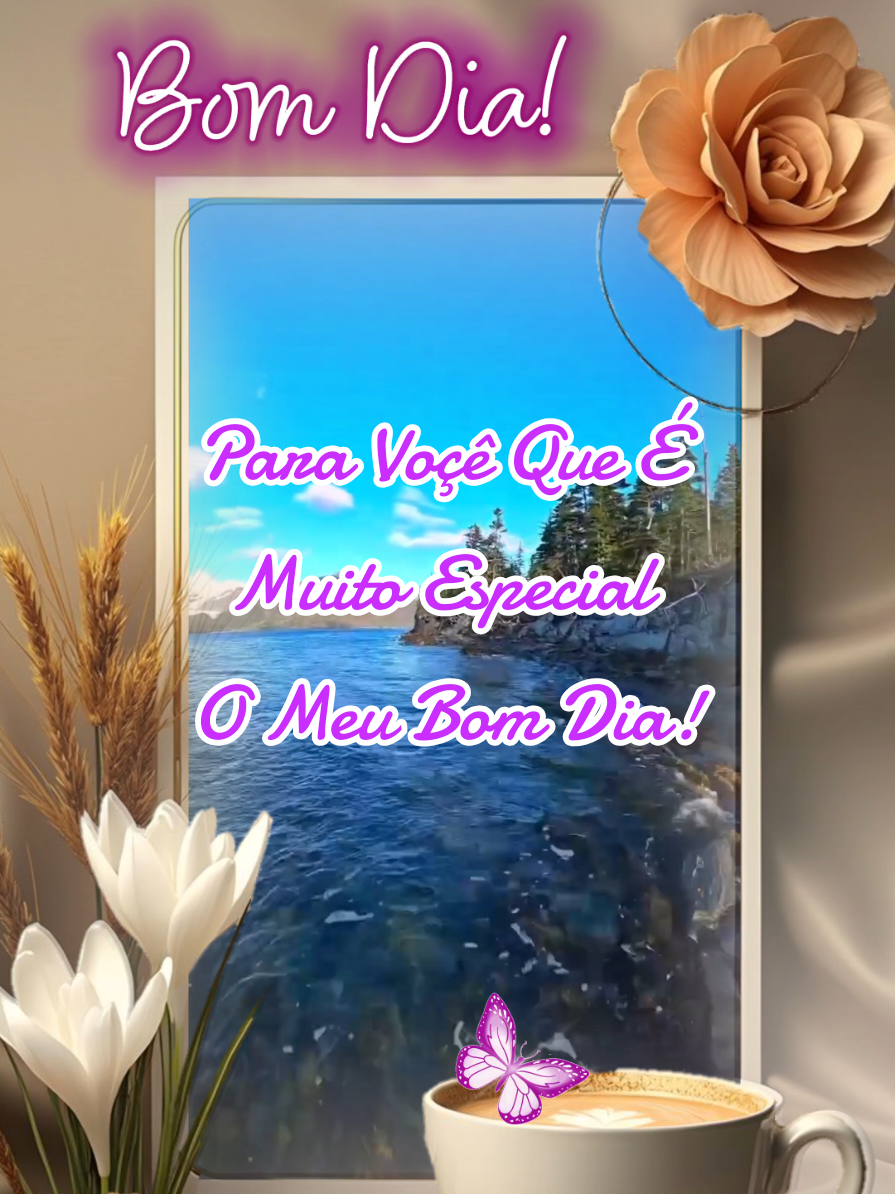 @César A. A. Santos