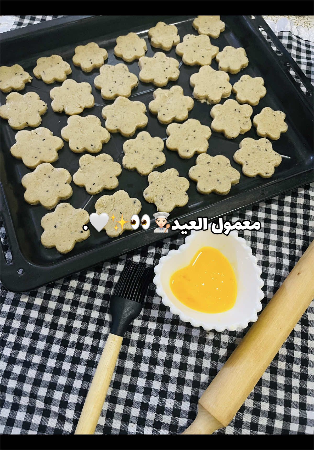 @﮼سيلڤا || s&epsilon;&epsilon;v