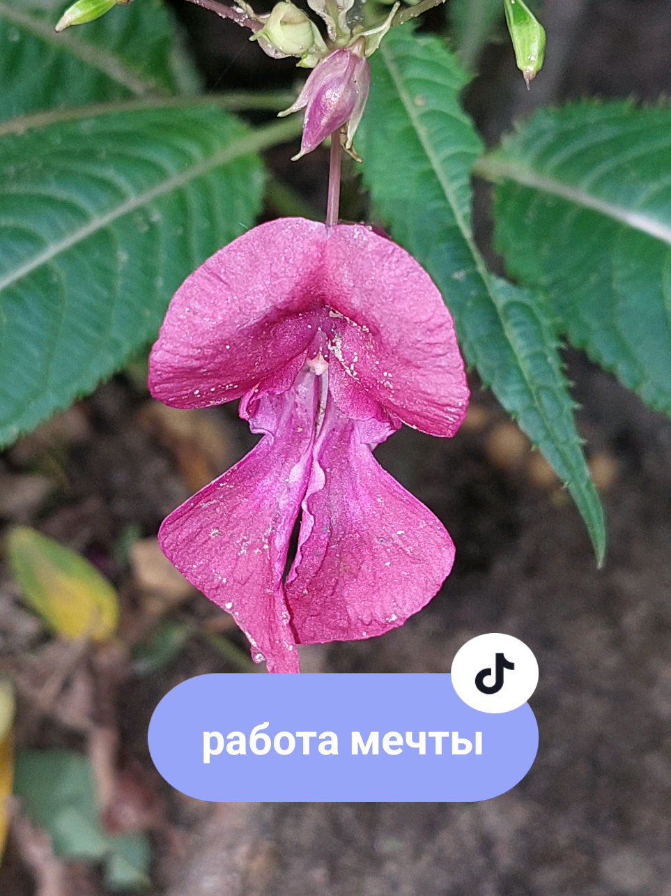 @Рыся✔️🇧🇾