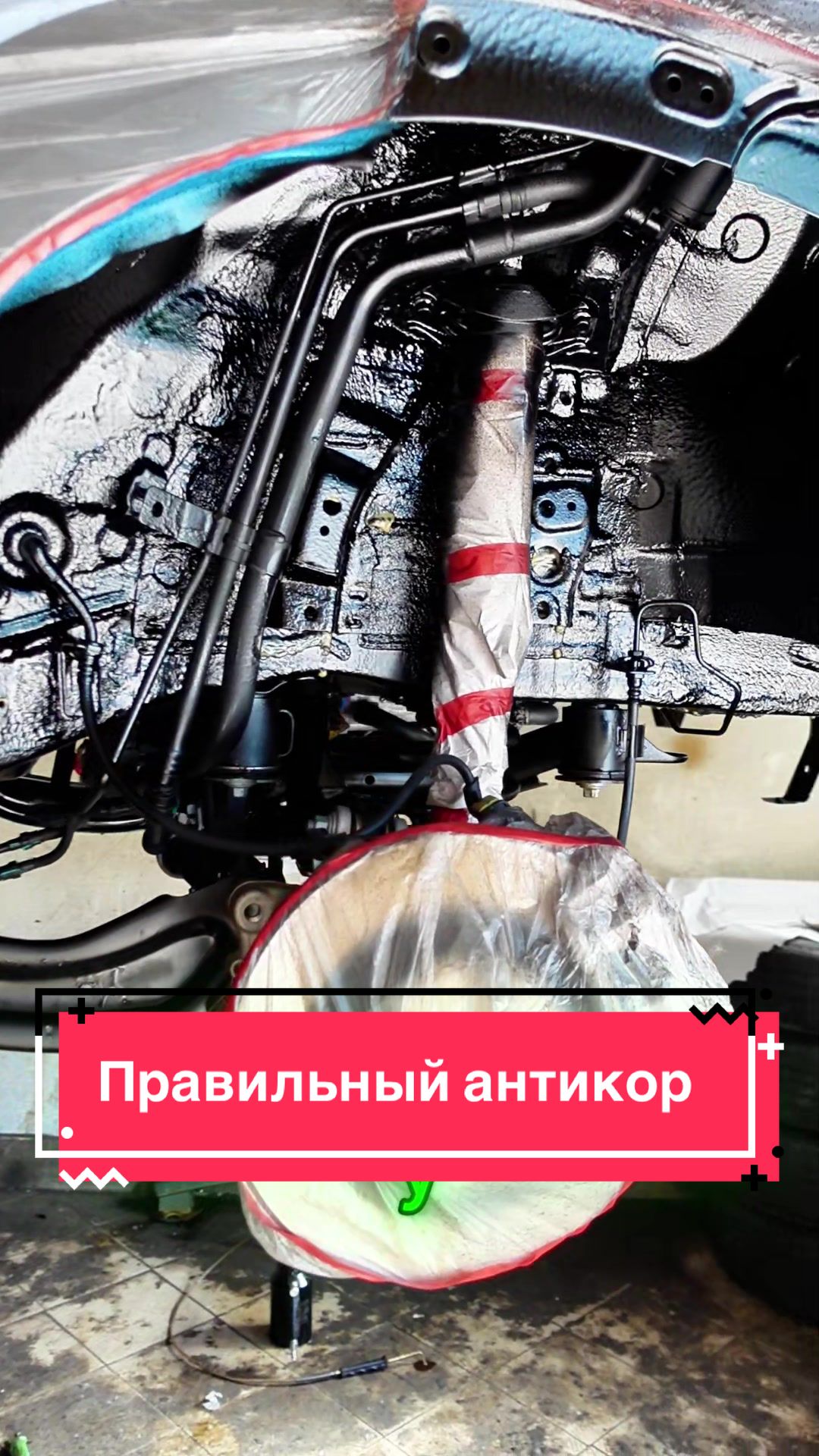 @Пегас-авто Витебск