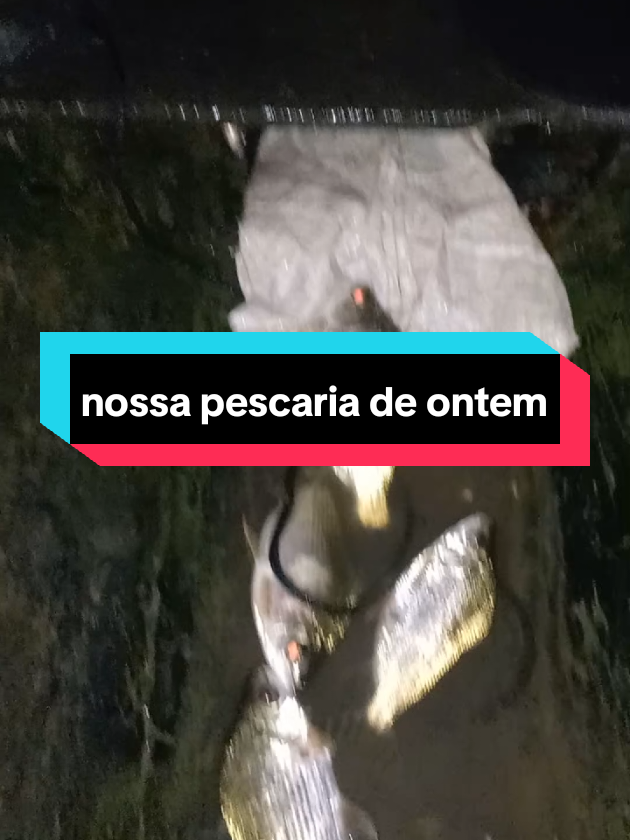 @menina do interior