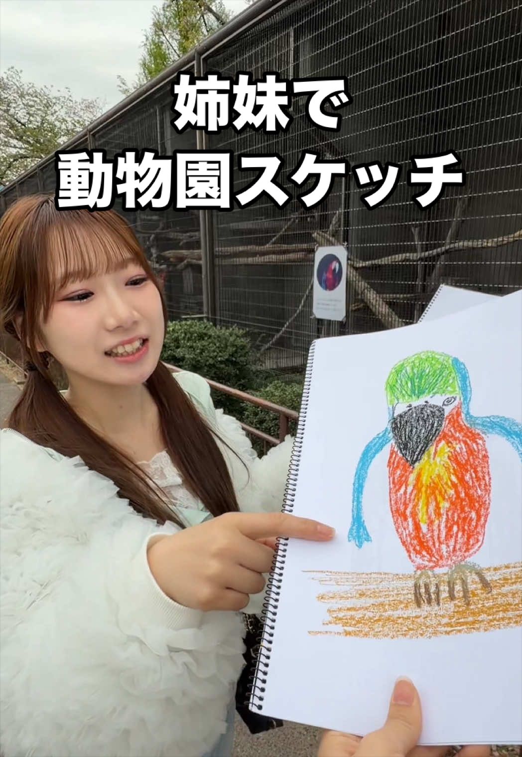 @ヒステリック姉妹なの