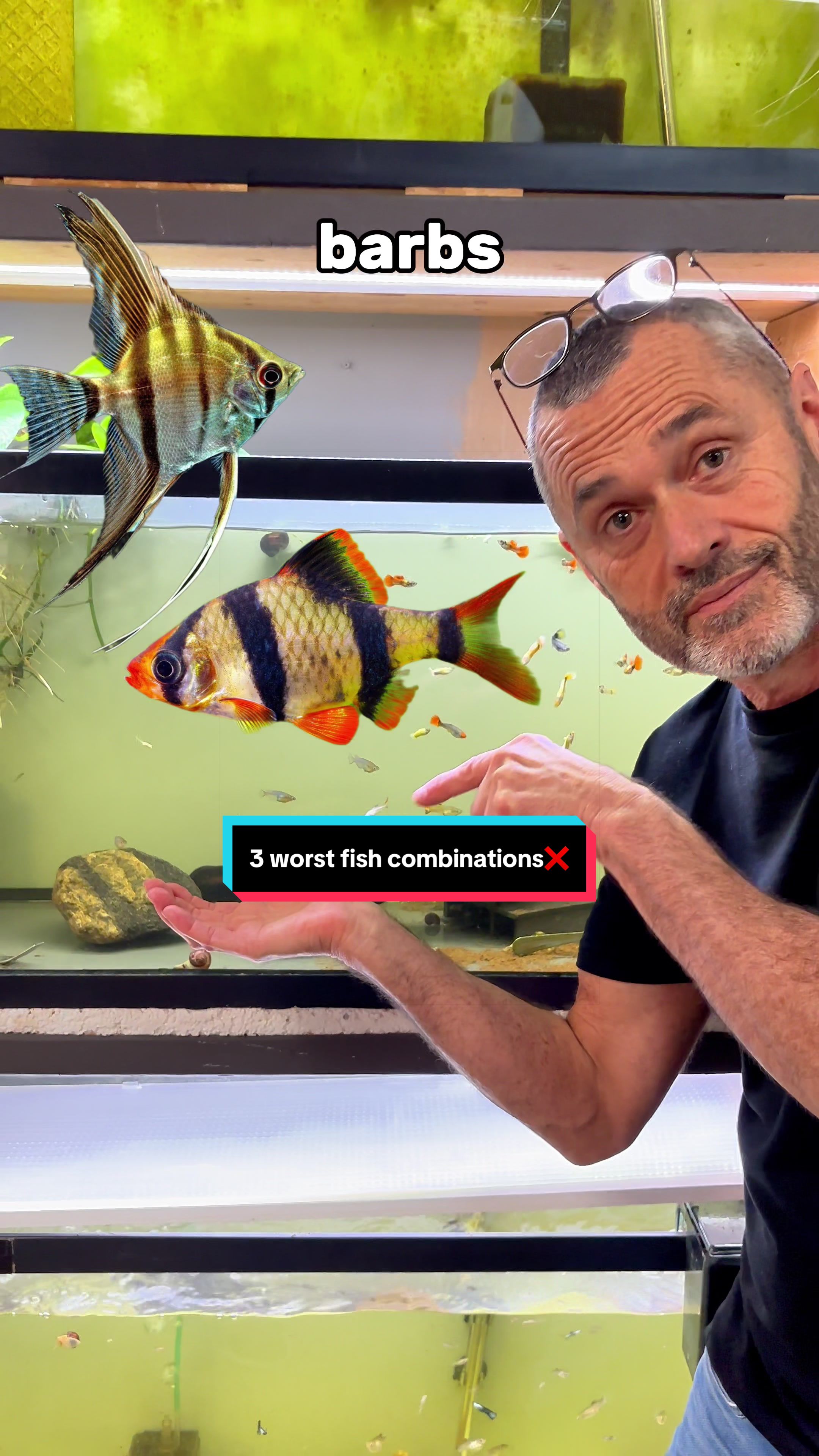 @ShrimplyTheBest
