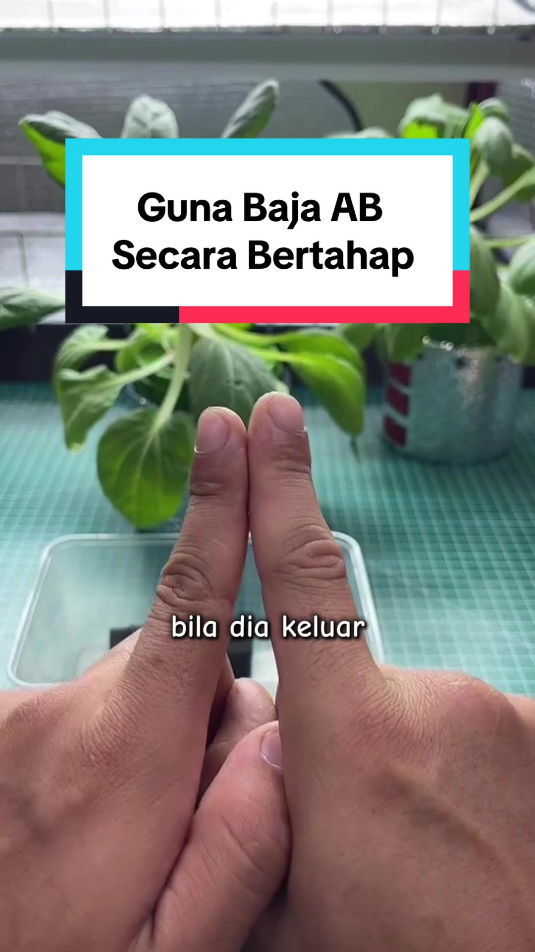 @Izat Aizie
