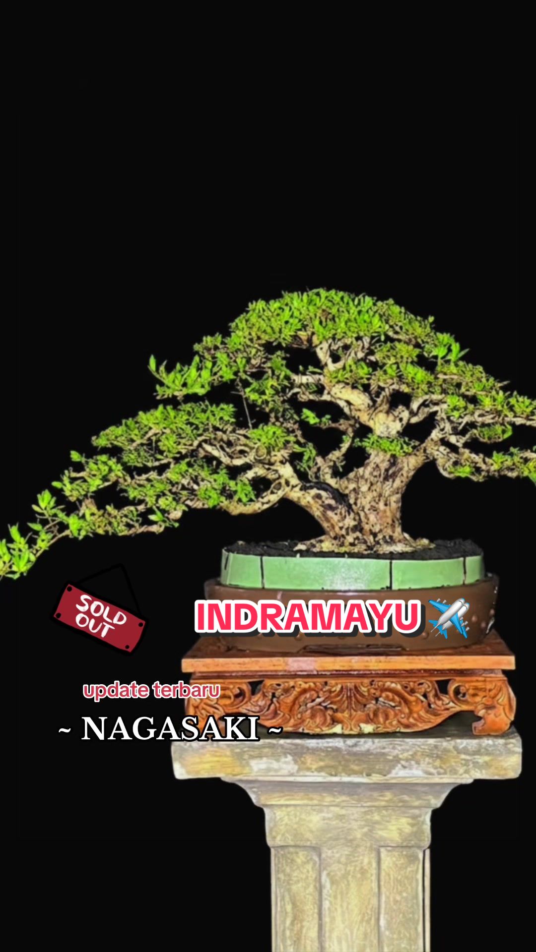 @warbonsai_purwodadi