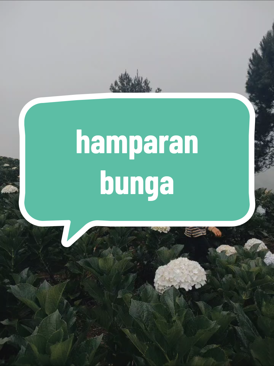 @Retno