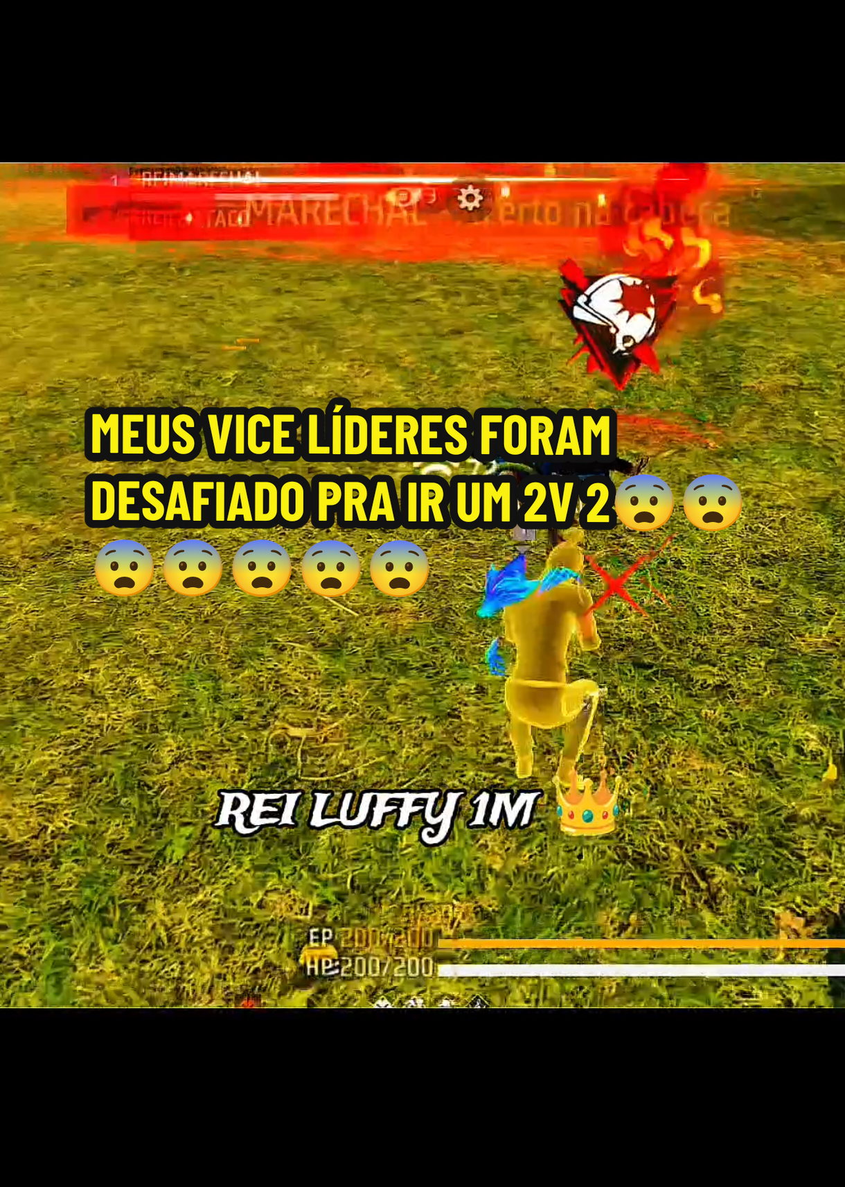 @REI LUFFY 1M 👑