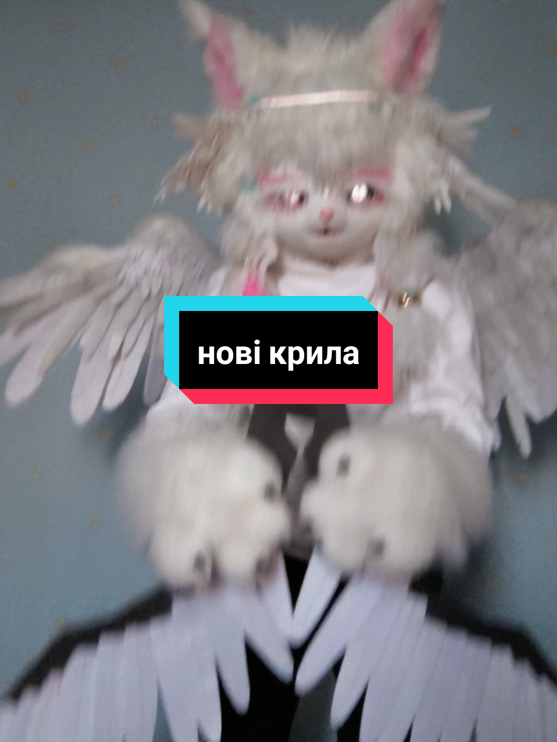 @༒༺Асія_Murrкевич༻༒ ִֶָ𓁿⋆