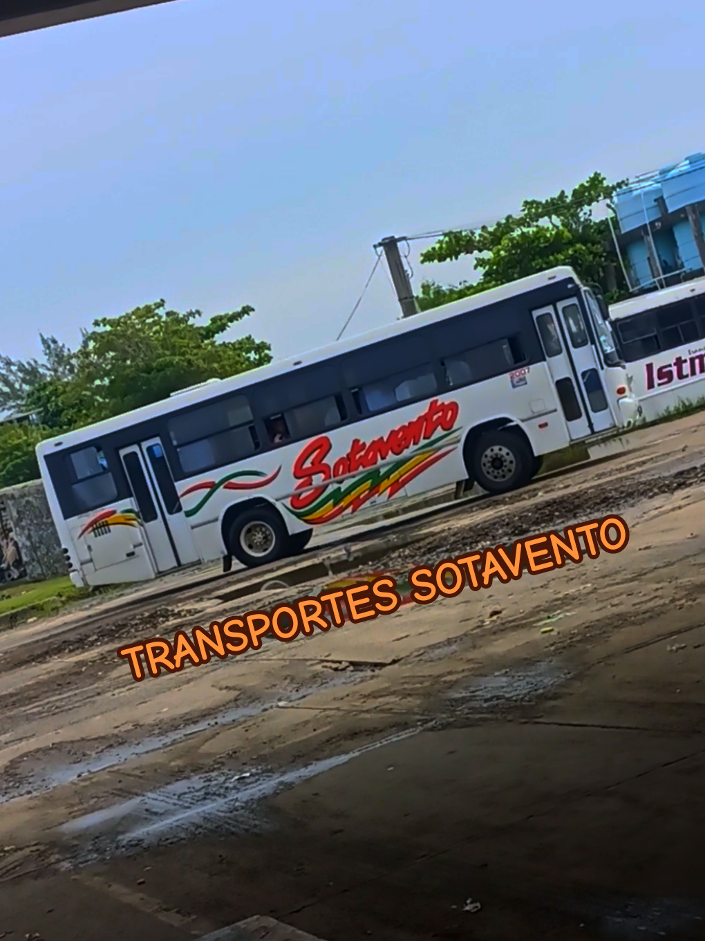 @Busologia Veracruzana 🍀🚍