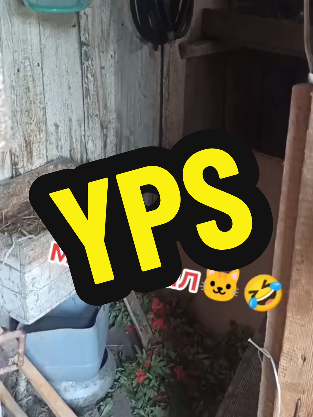 @🤟Веня Машаранский✌