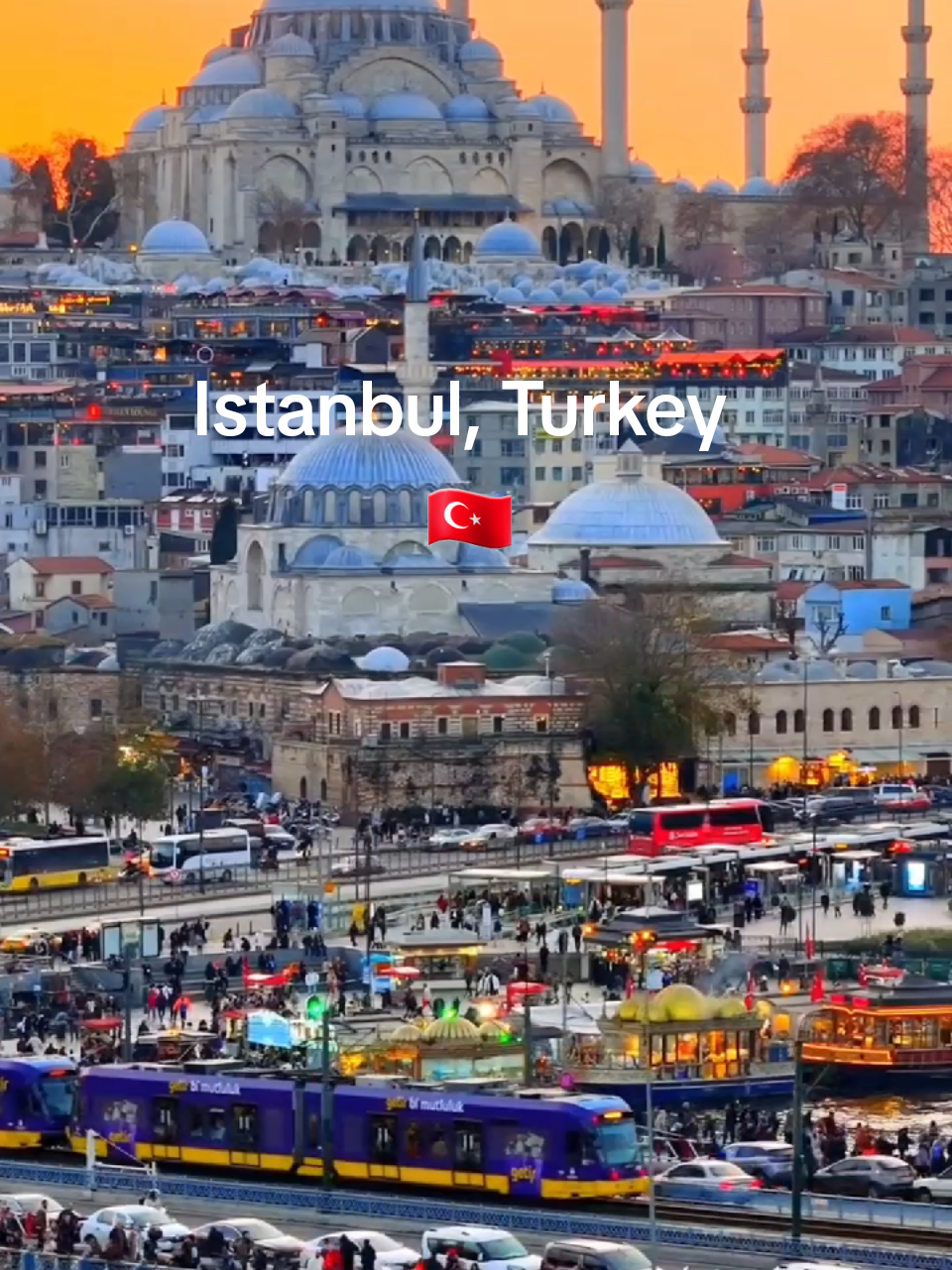 @Tourista