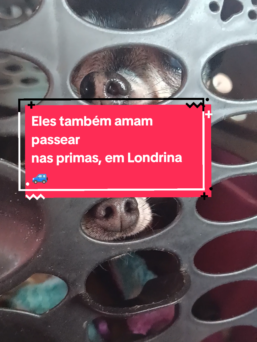 @Deuseni