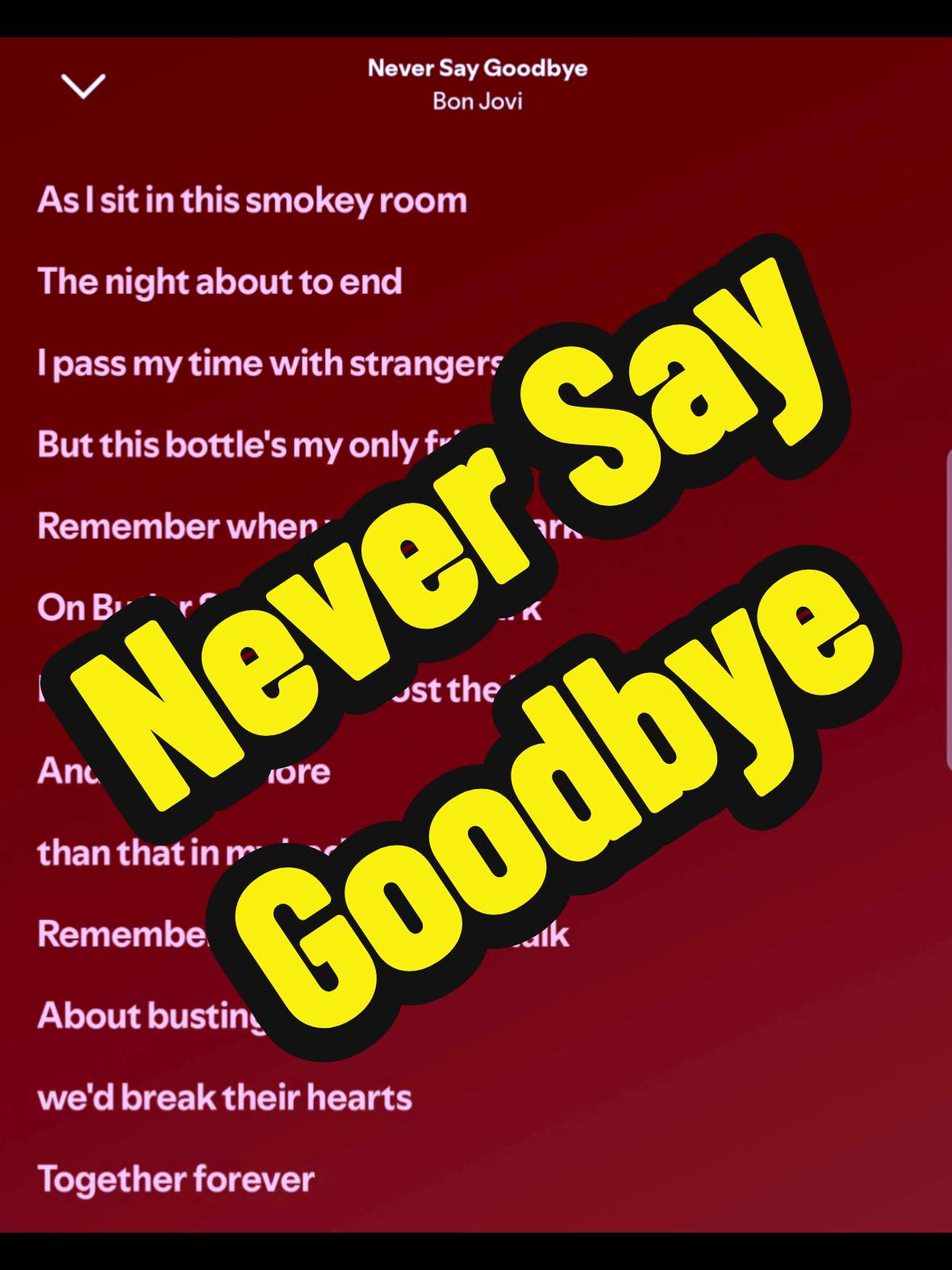 @Dog Narrator 🐶 | Lyrics