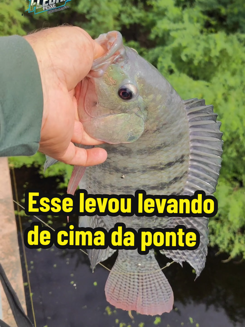 @Joildo Araujo