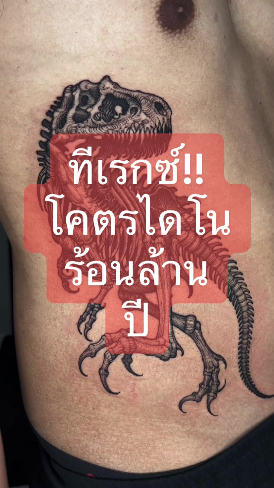 @243tattoo