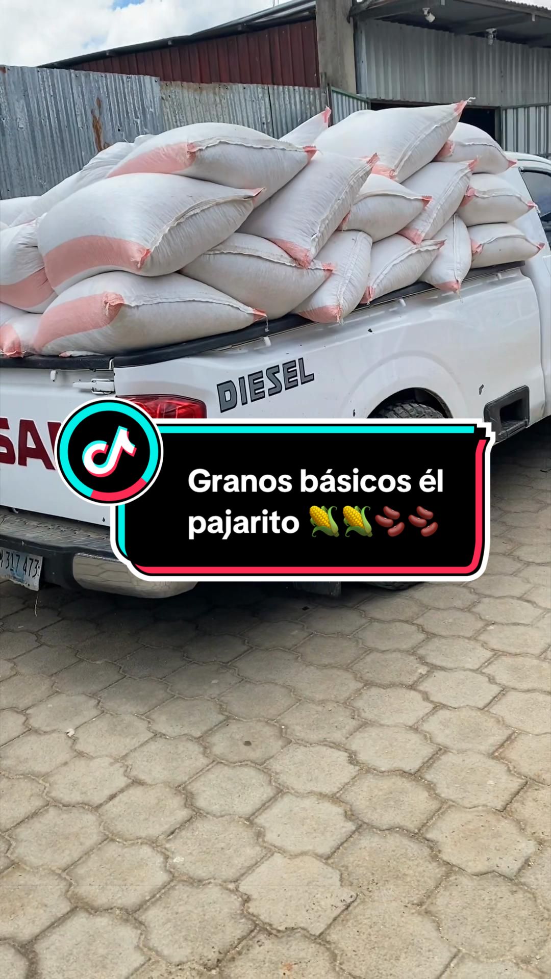 @Granos básicos él pajarito 🌽