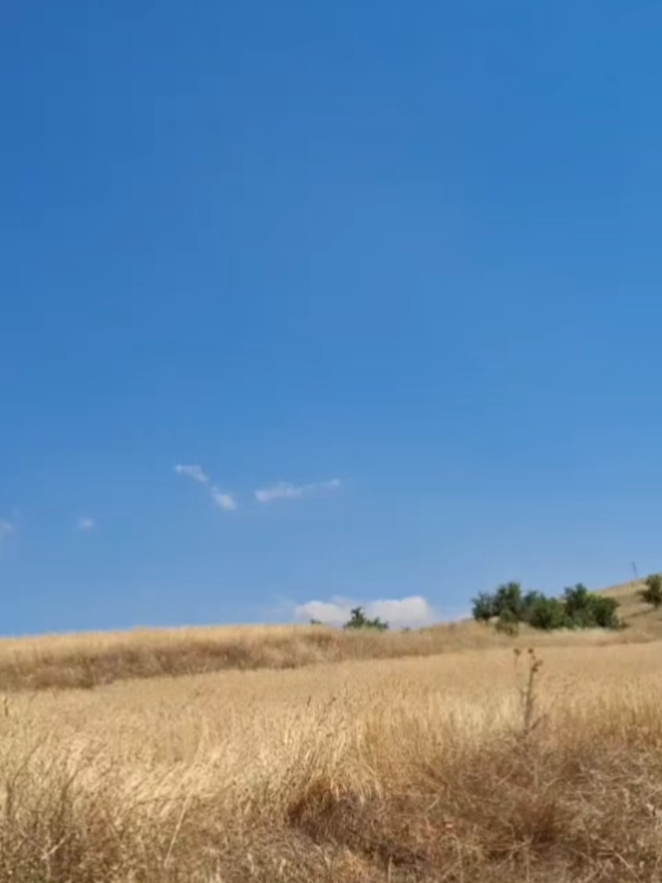 @03ŞAHİN03