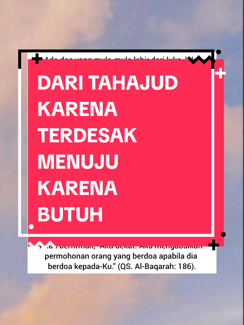 @OMA SUSI