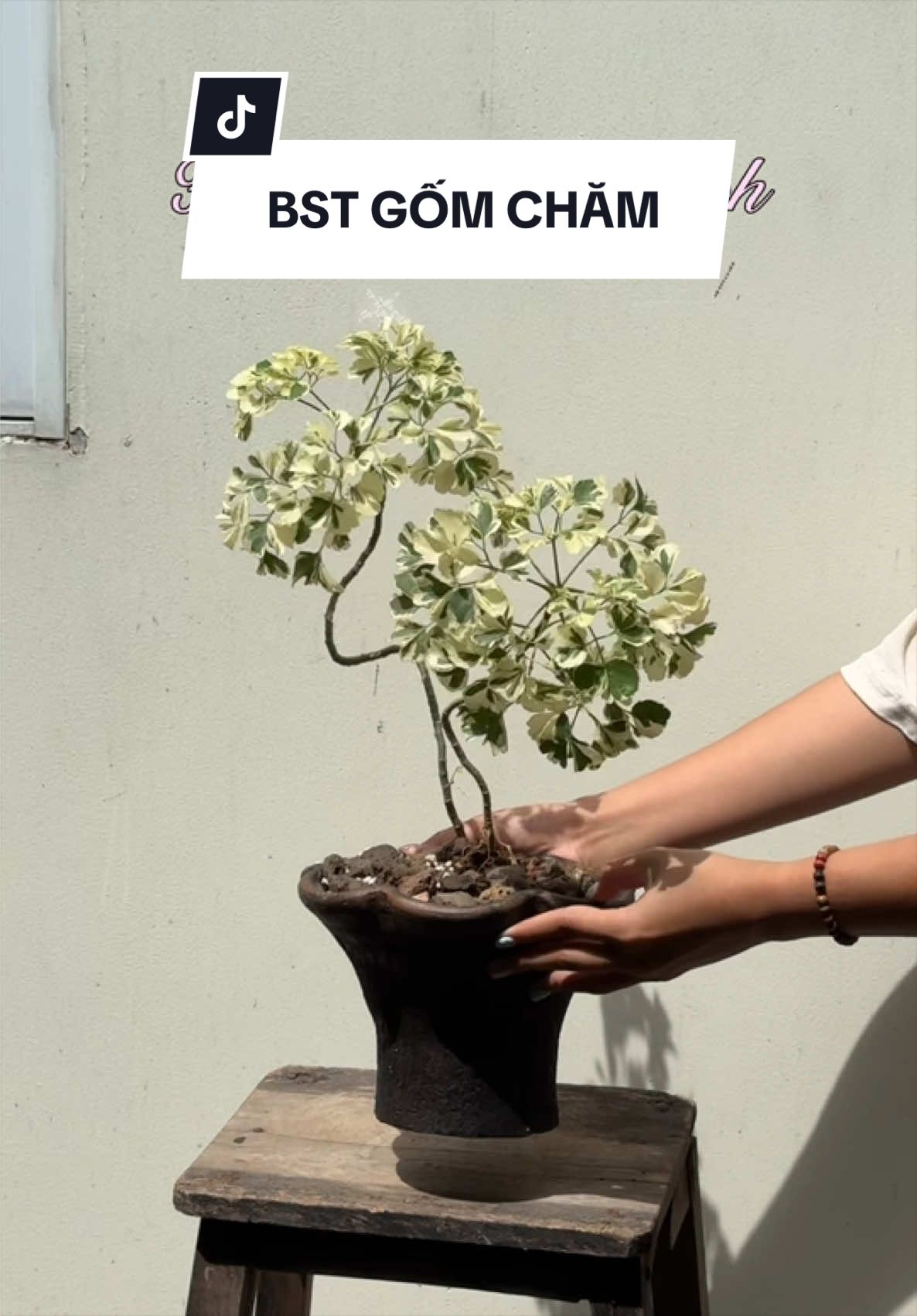 @Vuoncuakien