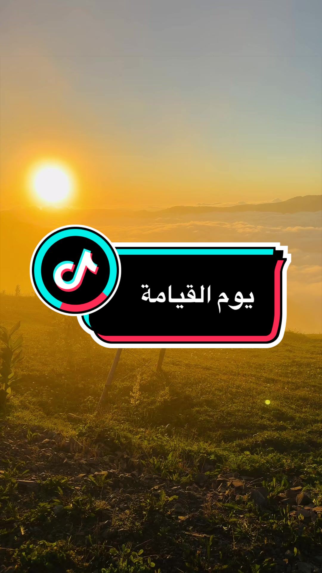 @ابوجودي