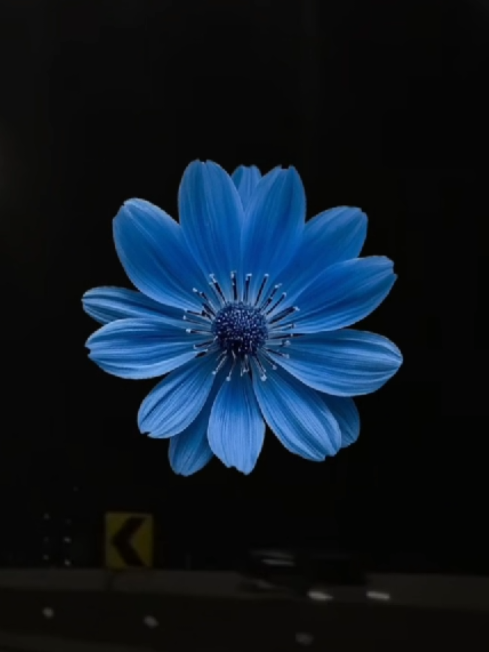 @𝐗𝐕𝐈 𝐀.𝐂