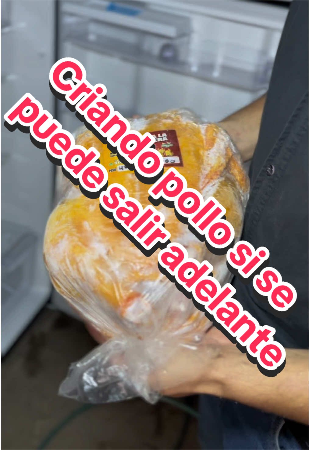 @elmagnatedelospollos