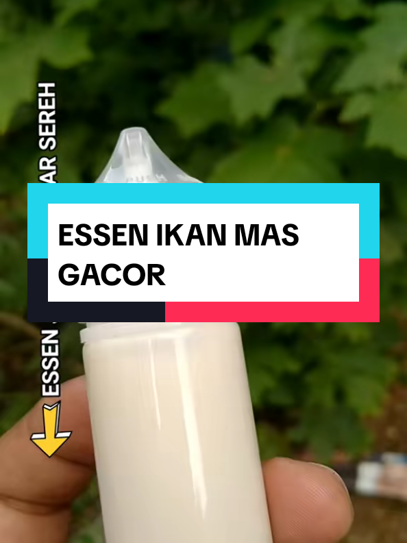 @Berkah FS