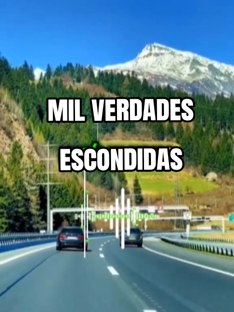 @Herminia González.