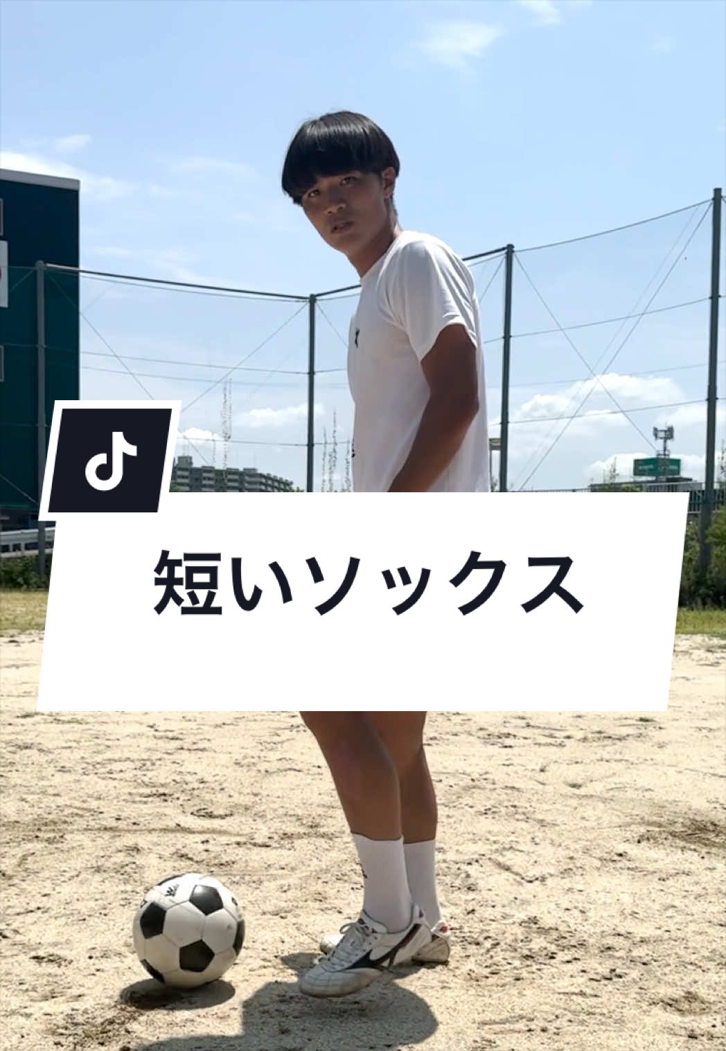 @ジャンキソウ🐺